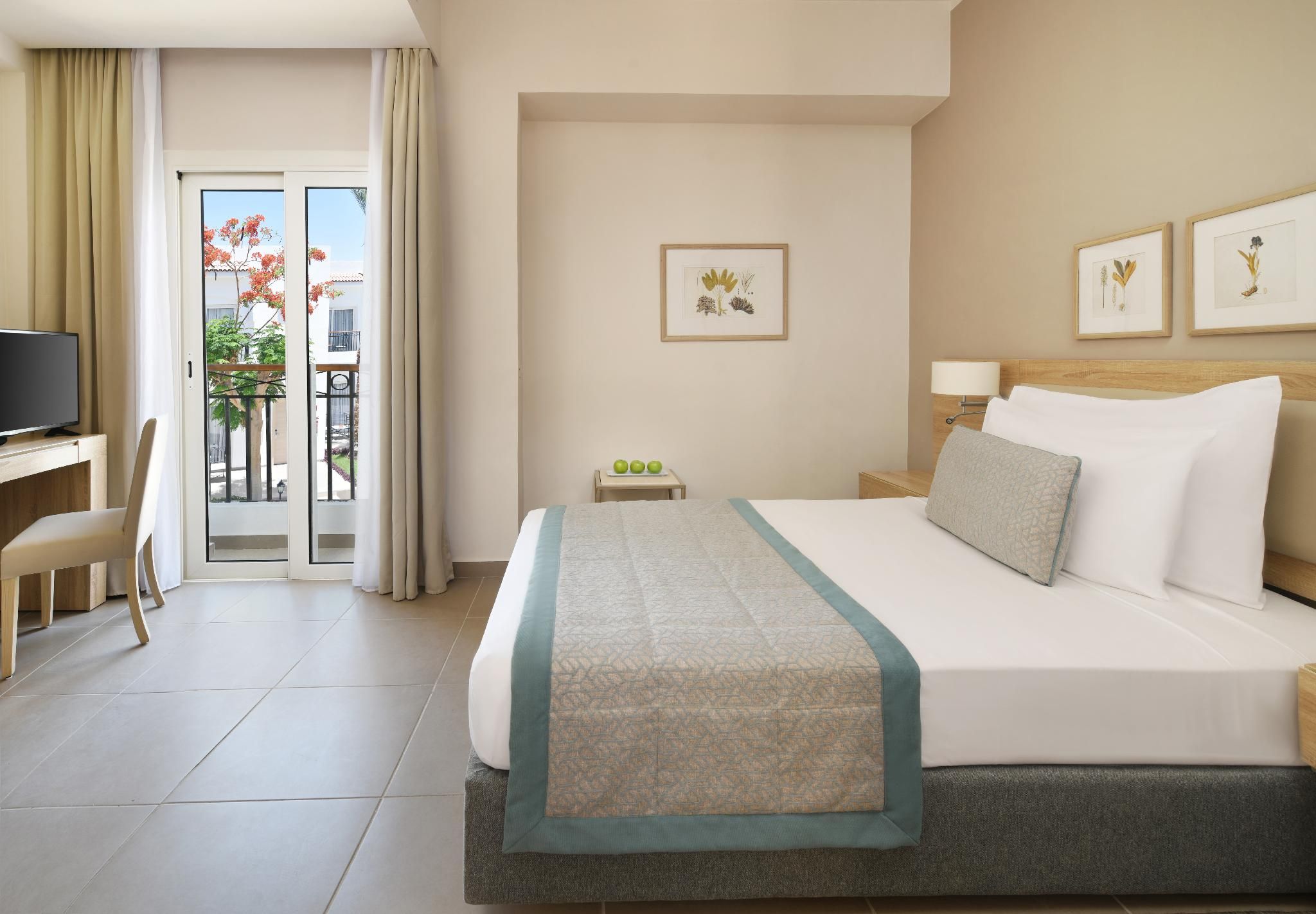 Standard Single Room