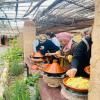 Saida Berber House
