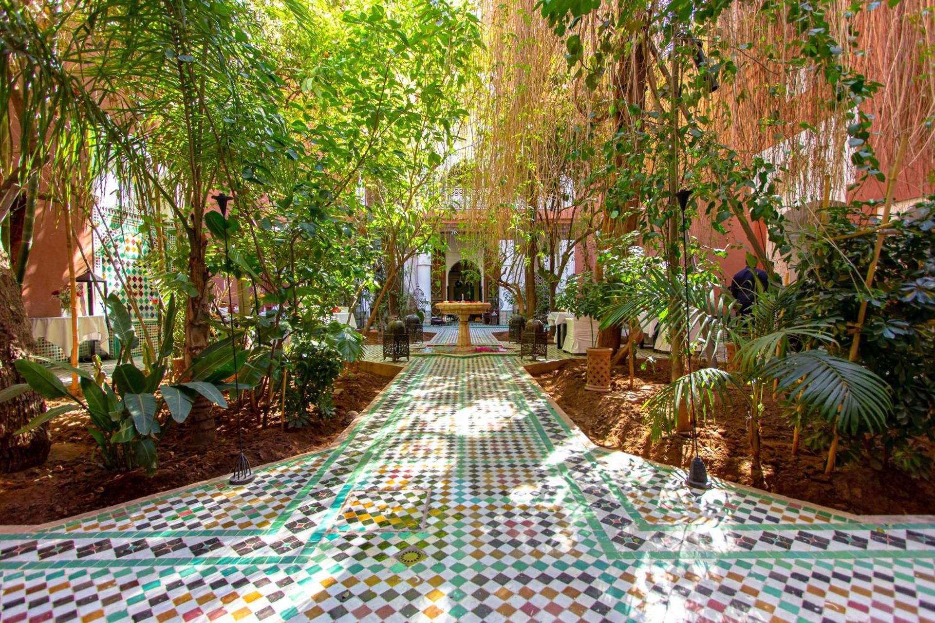 Riad Kaiss By Anika