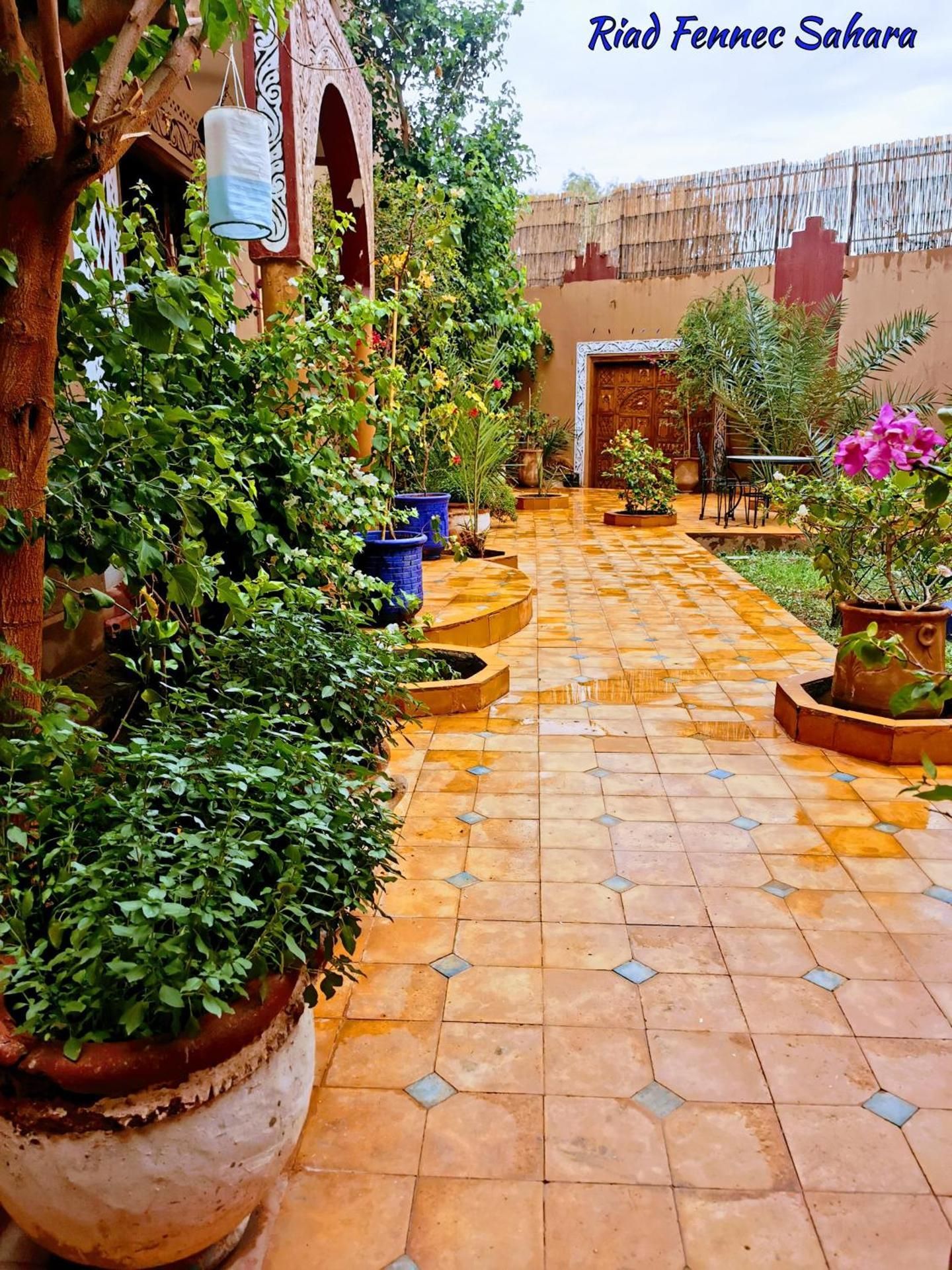 Riad Fennec Sahara