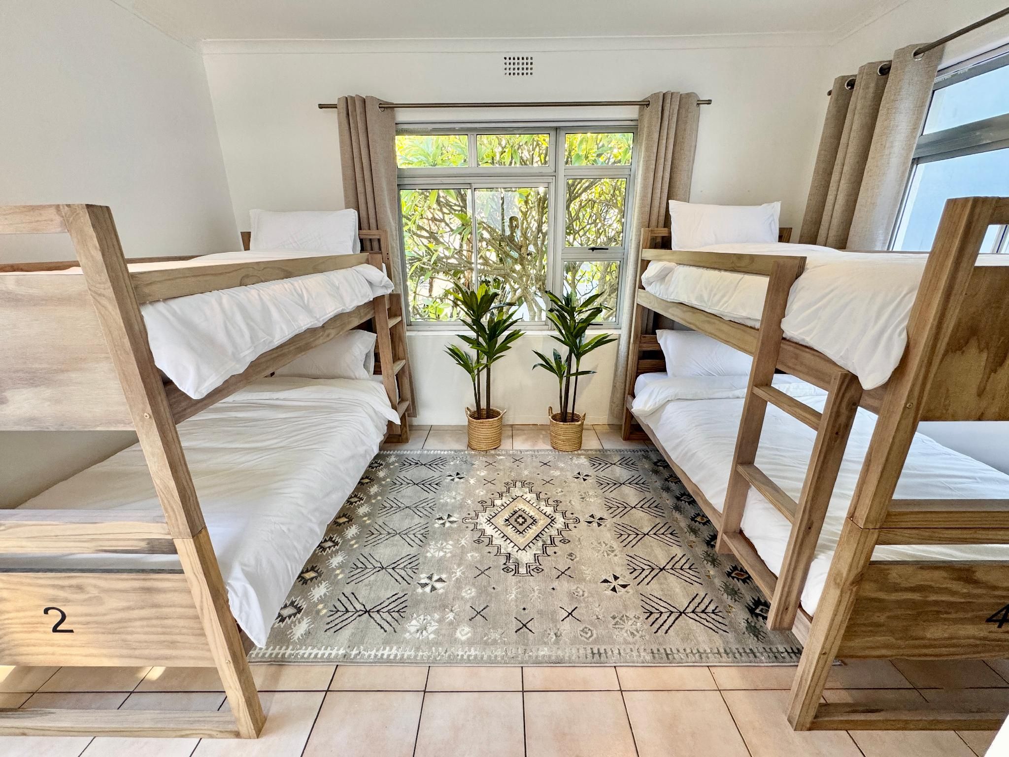 Bed in 4 Bed Mixed Dormitory Room with Ensuite Bathroom