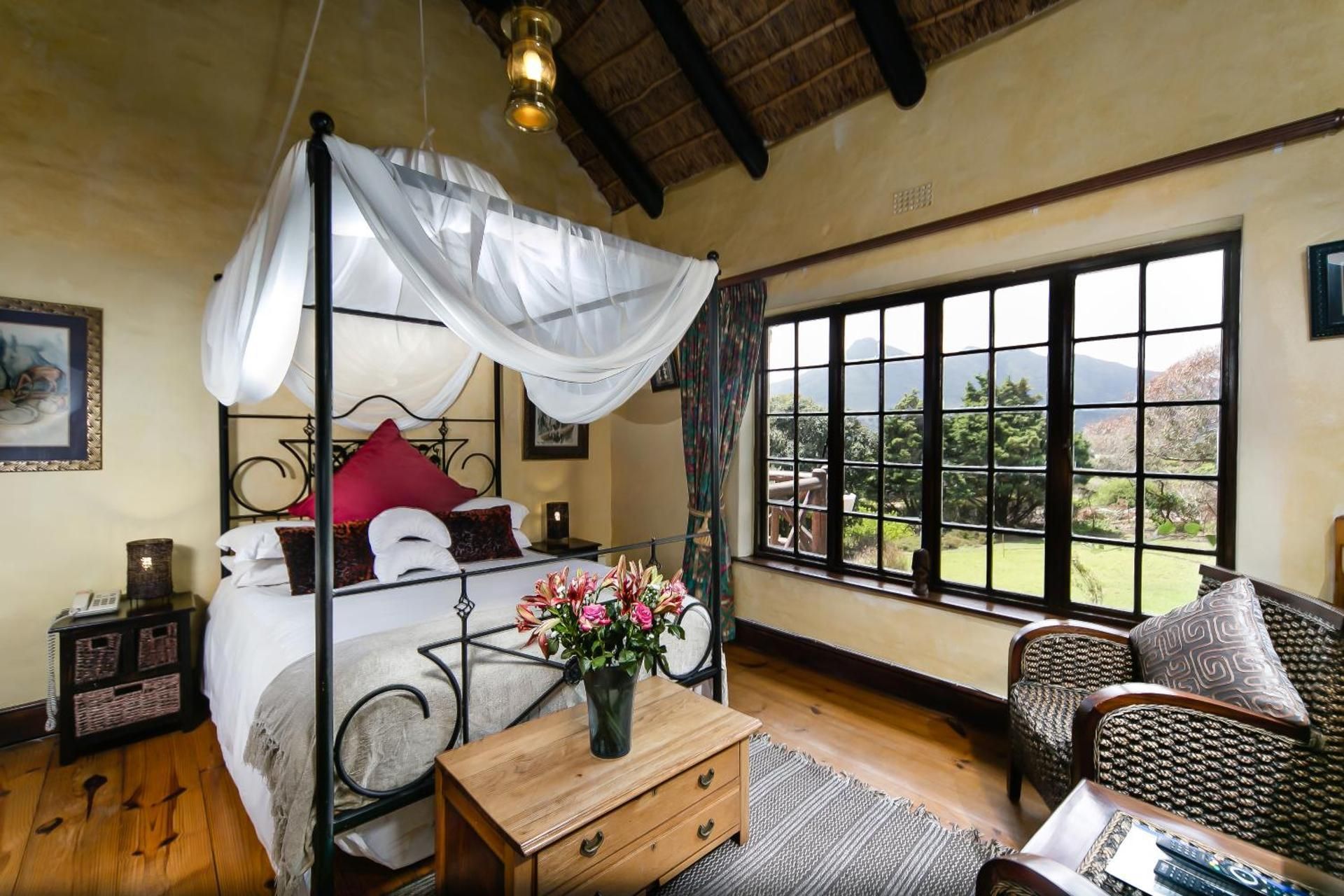 African Double Room