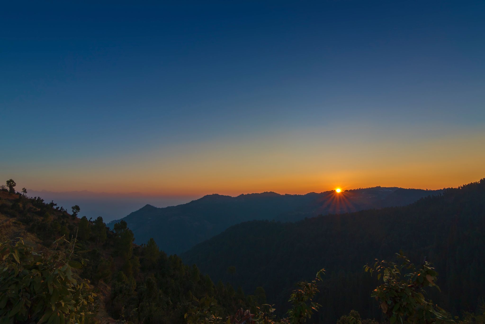 undefined Whispering Pines Himalayan Retreat 8