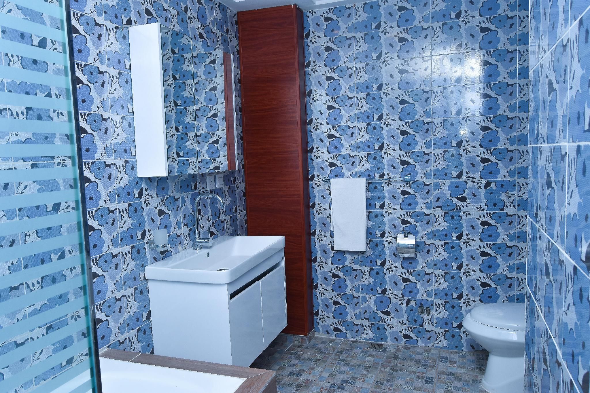 3 Bedroom Apartment, City view