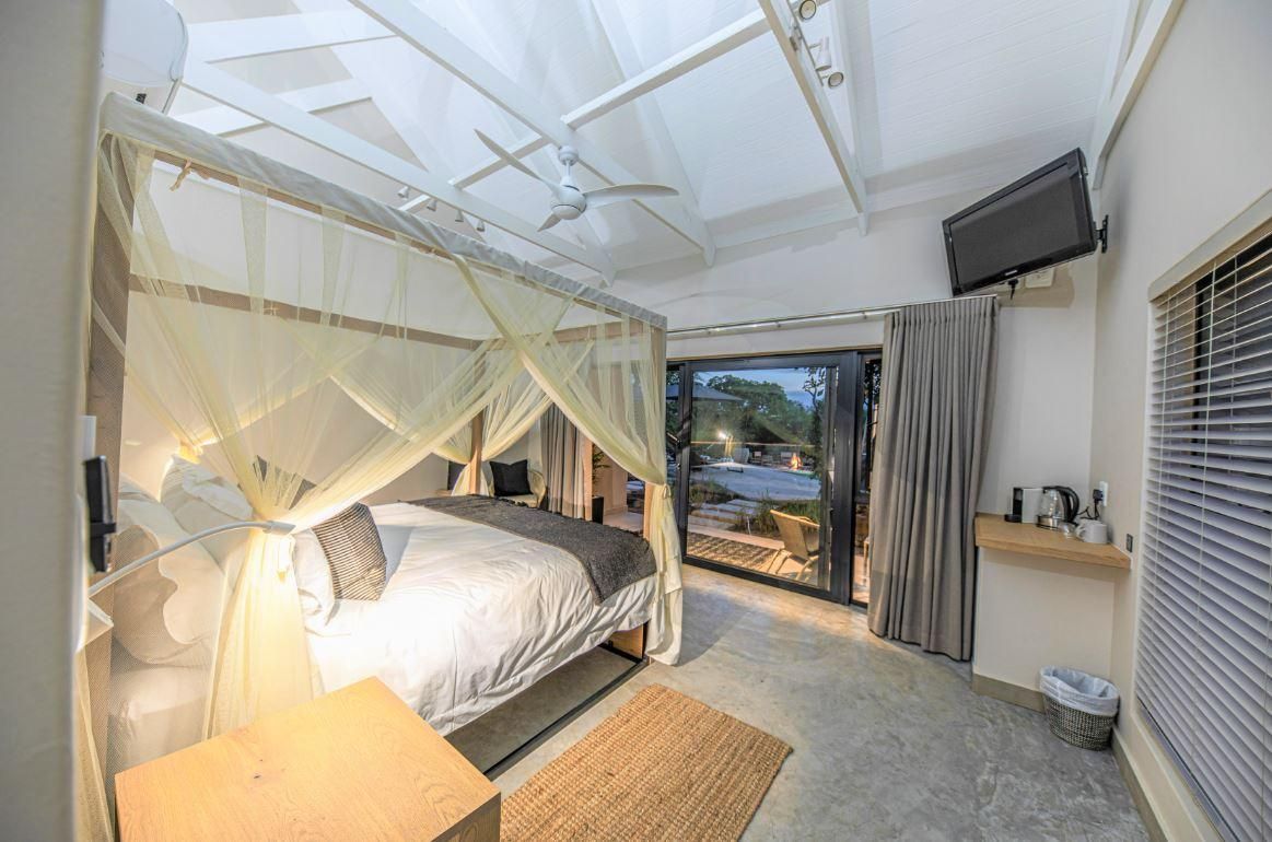 King Standard Room