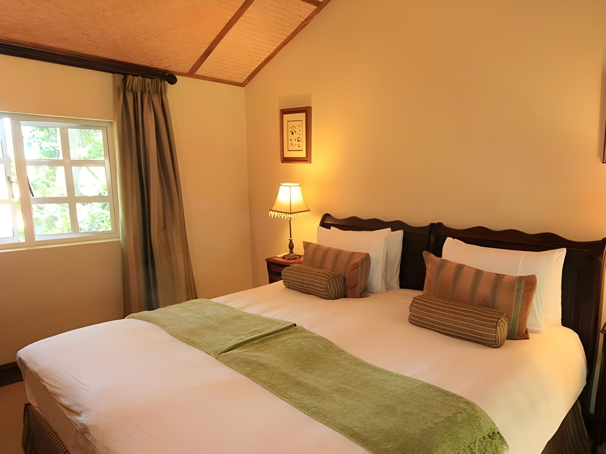 Superior Garden Suite with sleeper