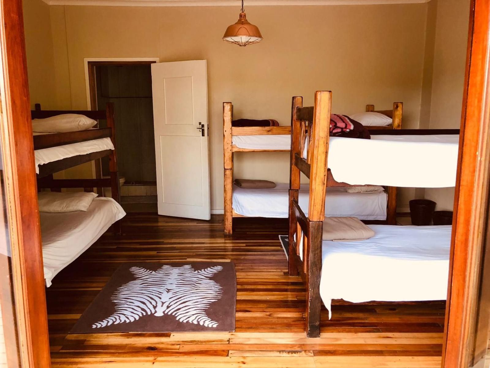 Bed in 6-Bed Dormitory Room