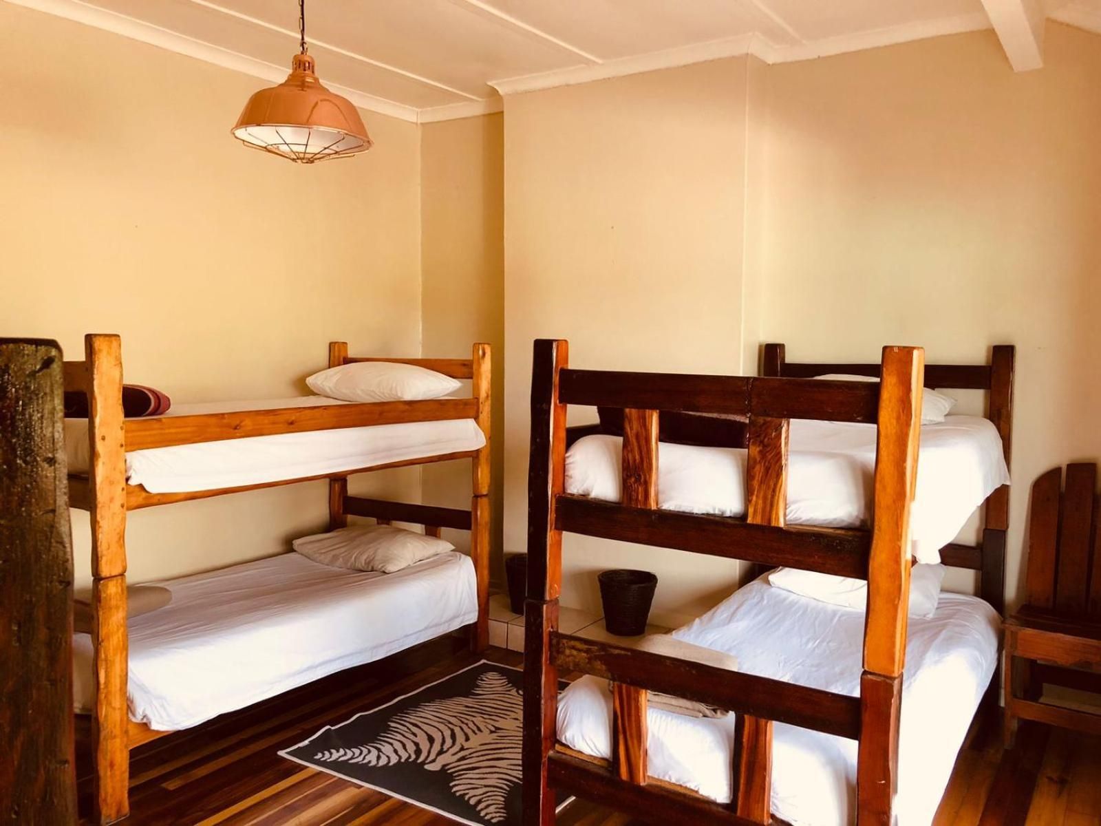 Bed in 6-Bed Dormitory Room