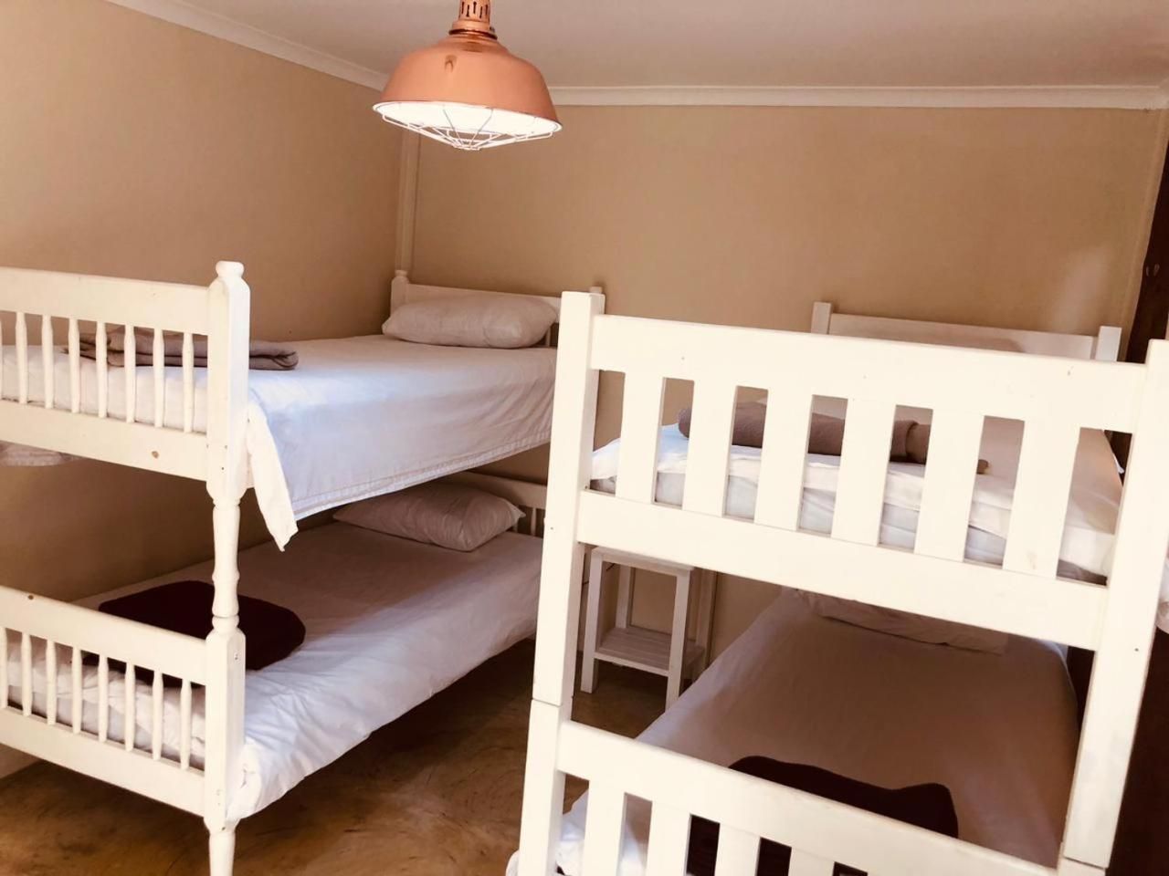 Bunk Bed in Mixed Dormitory Room