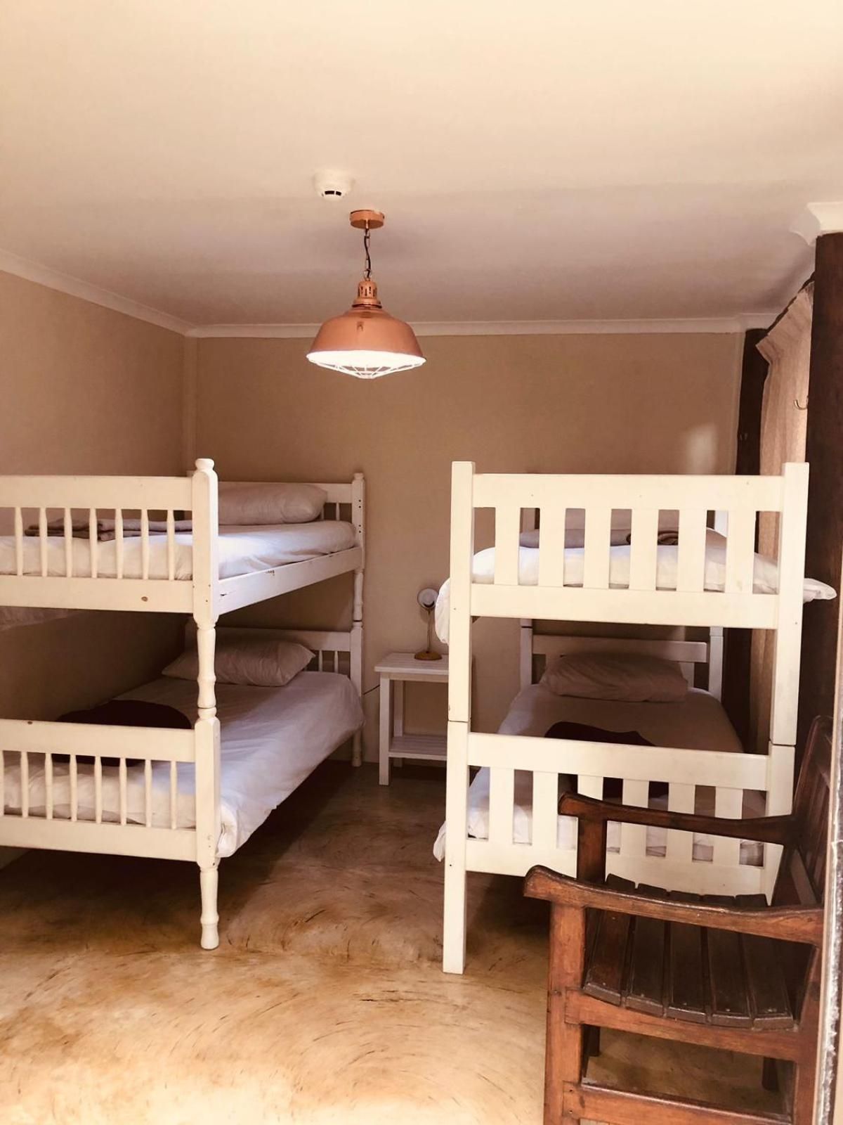 Bunk Bed in Mixed Dormitory Room
