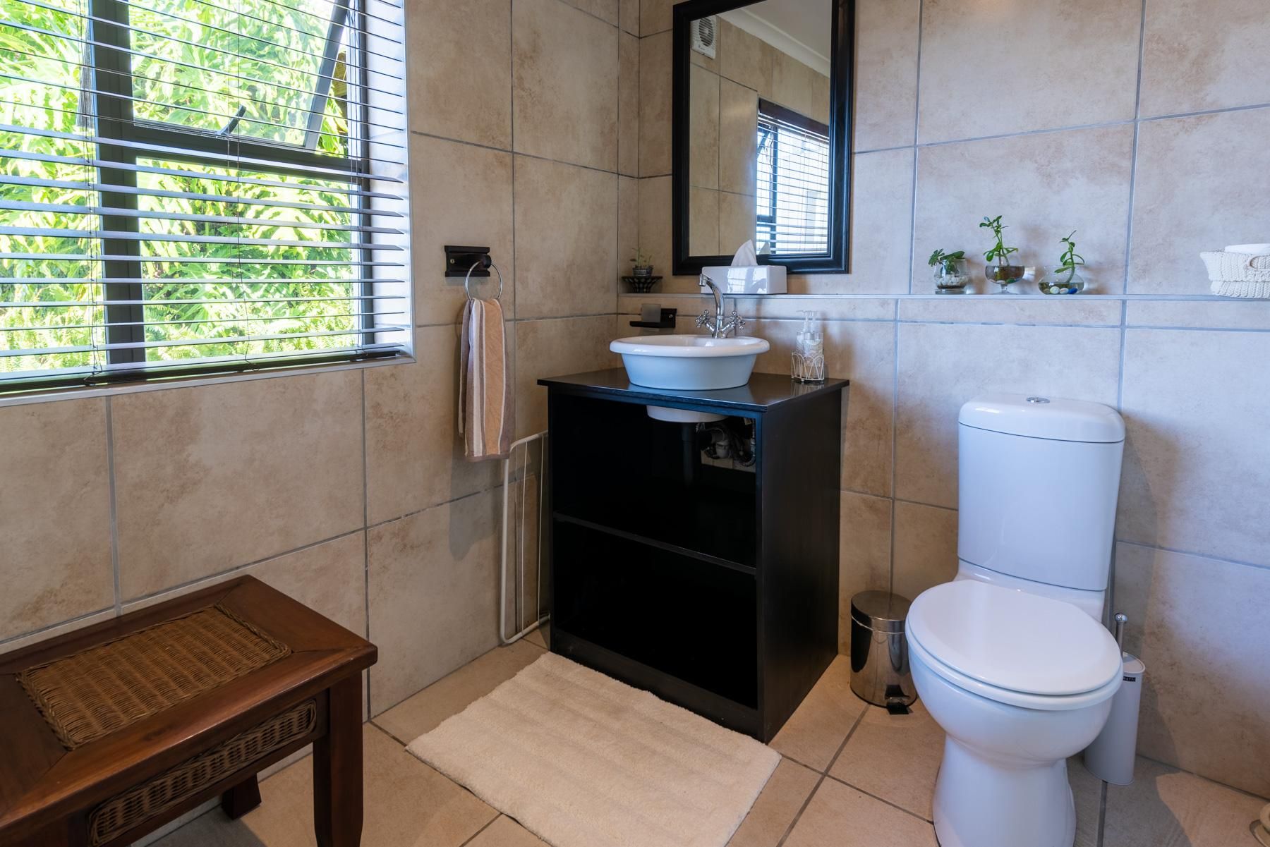 6 On Protea Studio 3