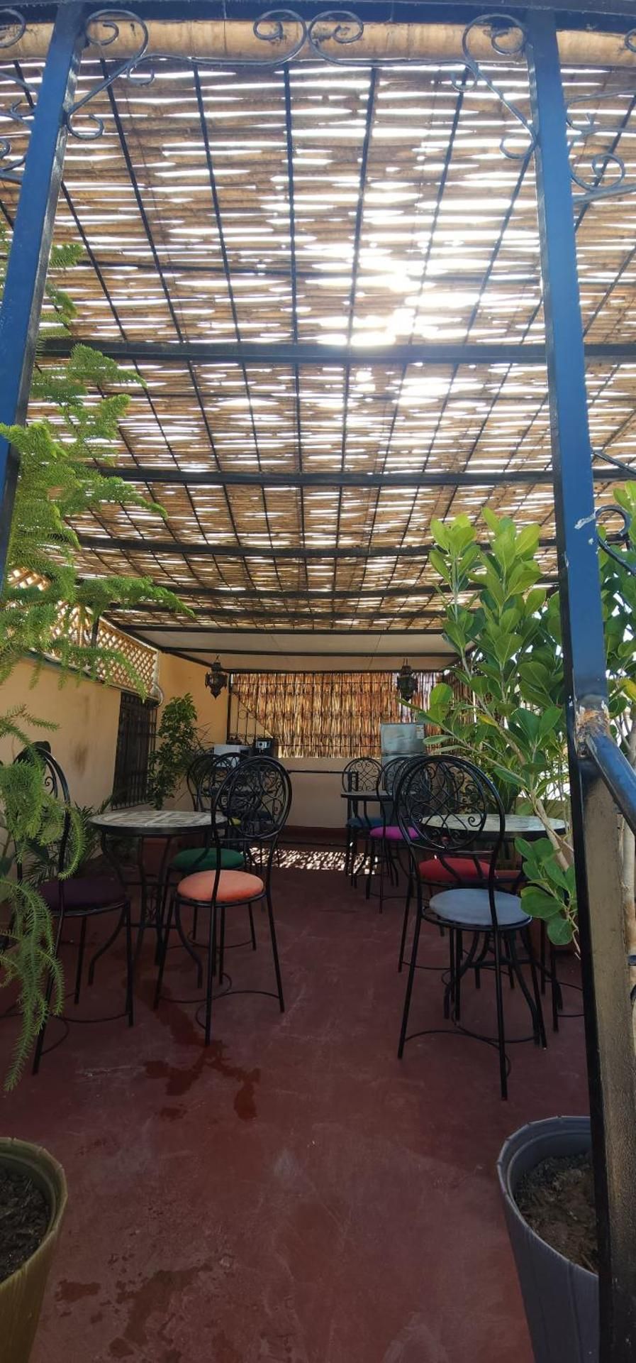 Riad zineb