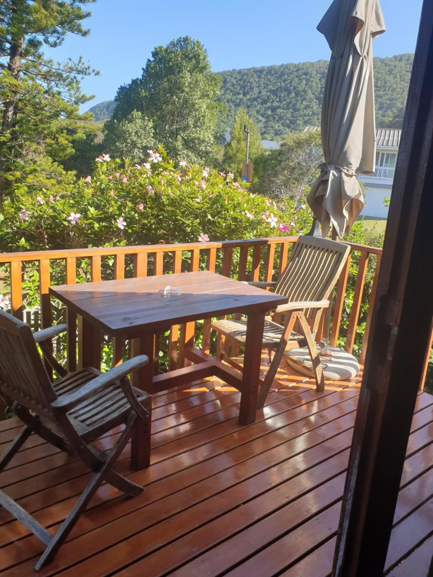 One-Bedroom Apartment with View