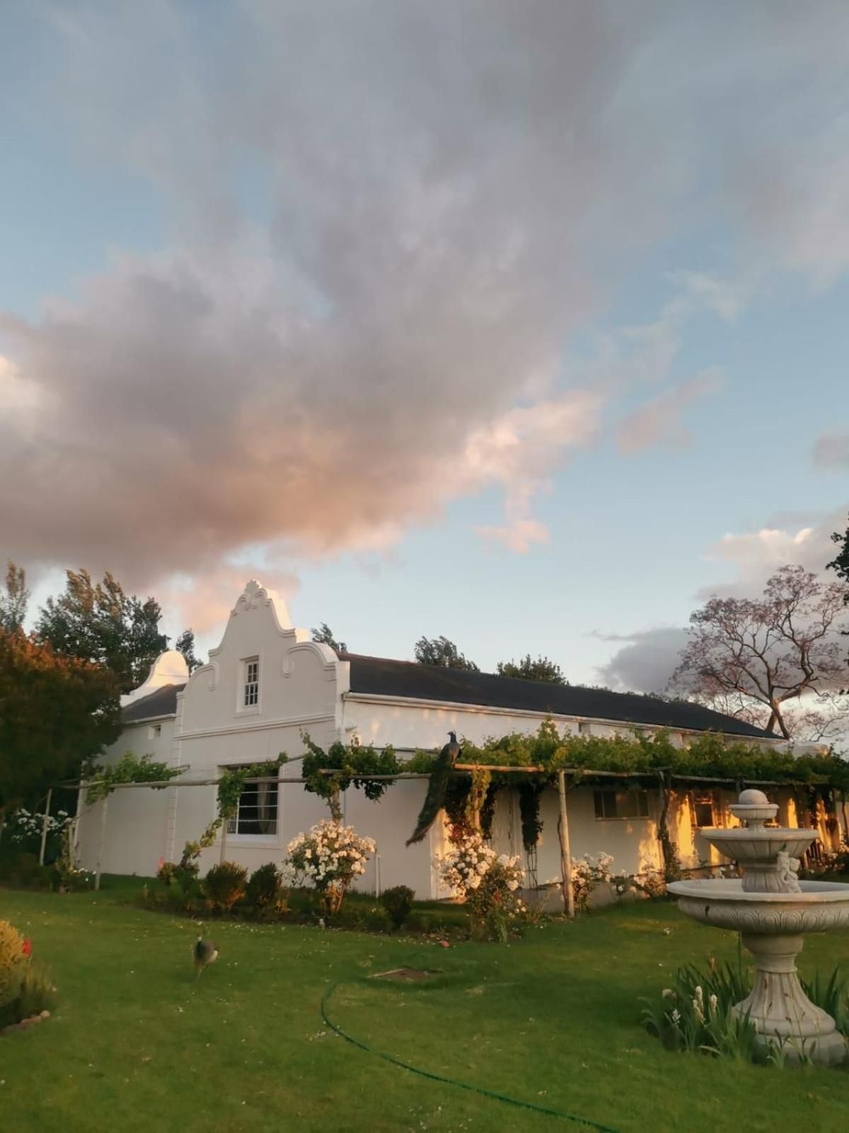 Morgenzon Farm