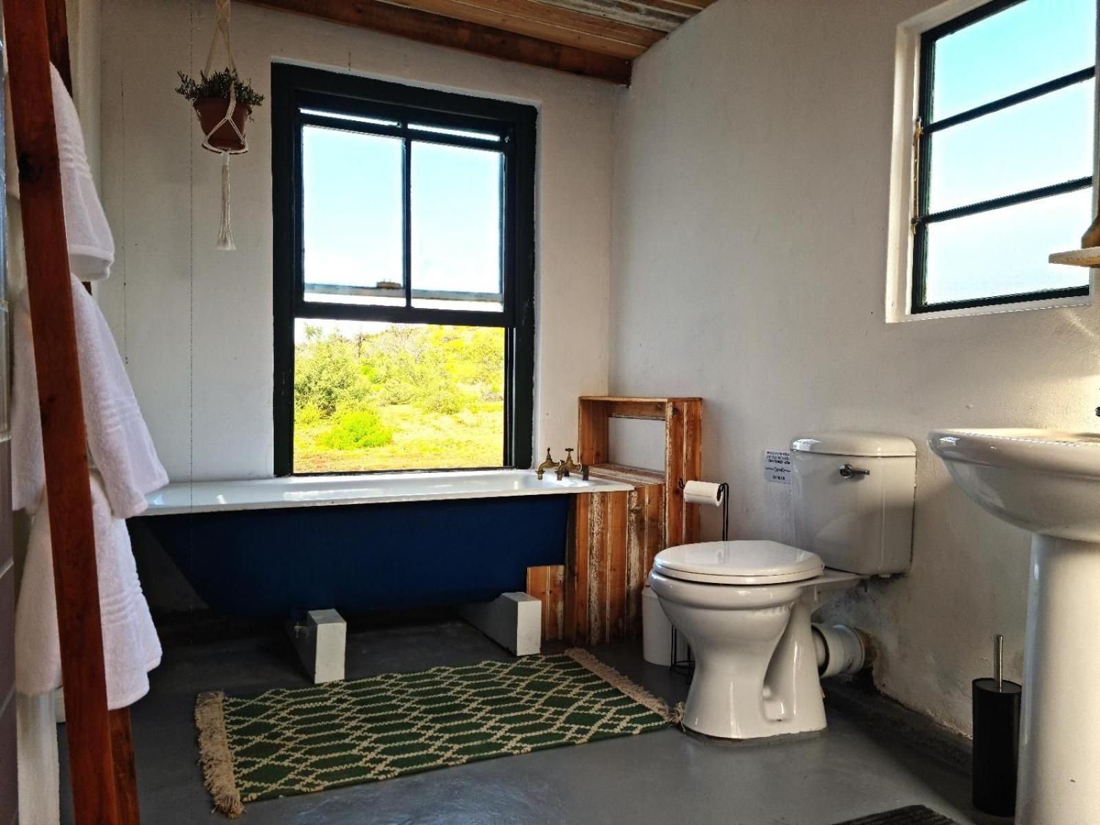Comfort Cottage