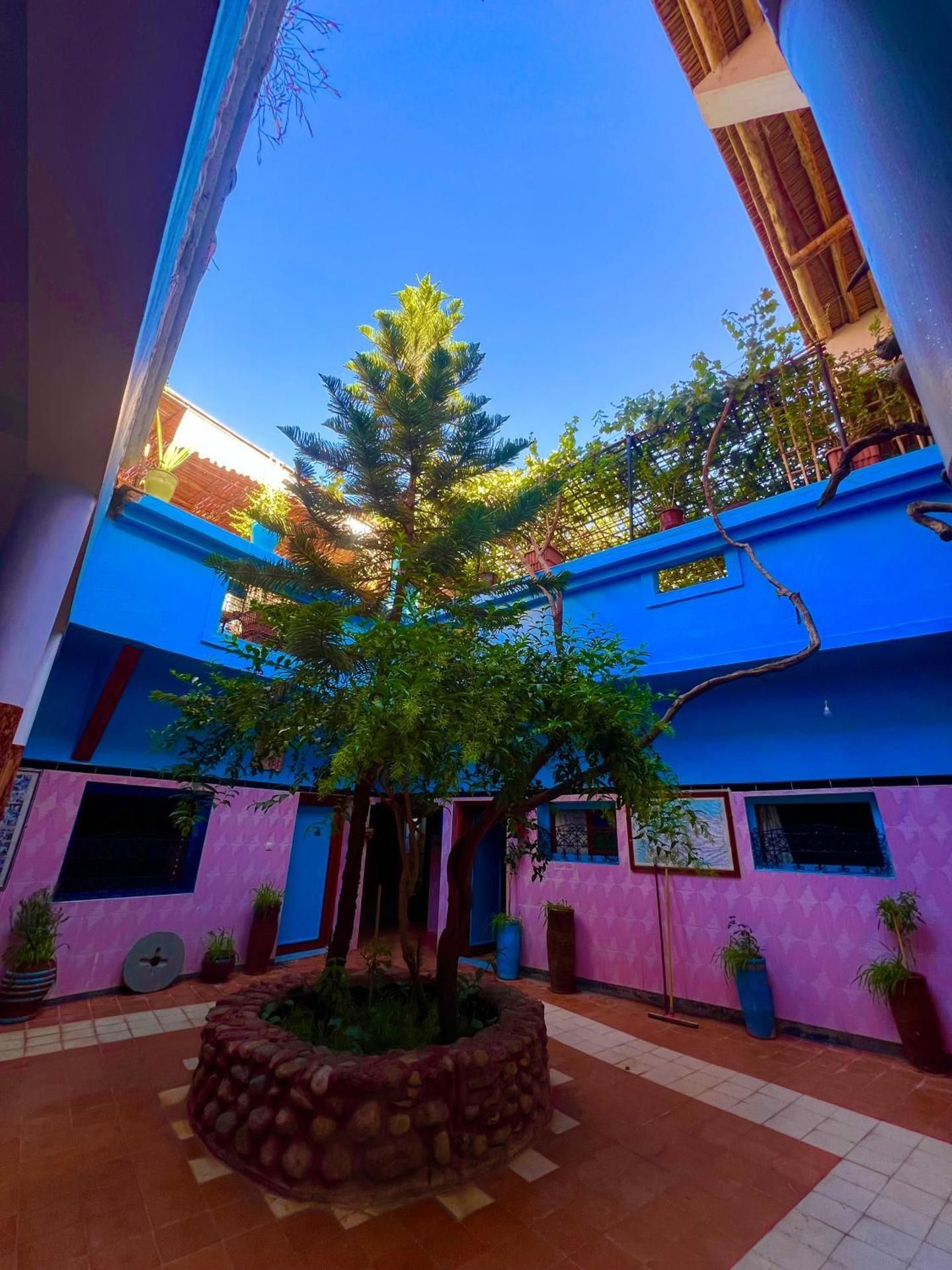 Maison d'hote Riad Todra