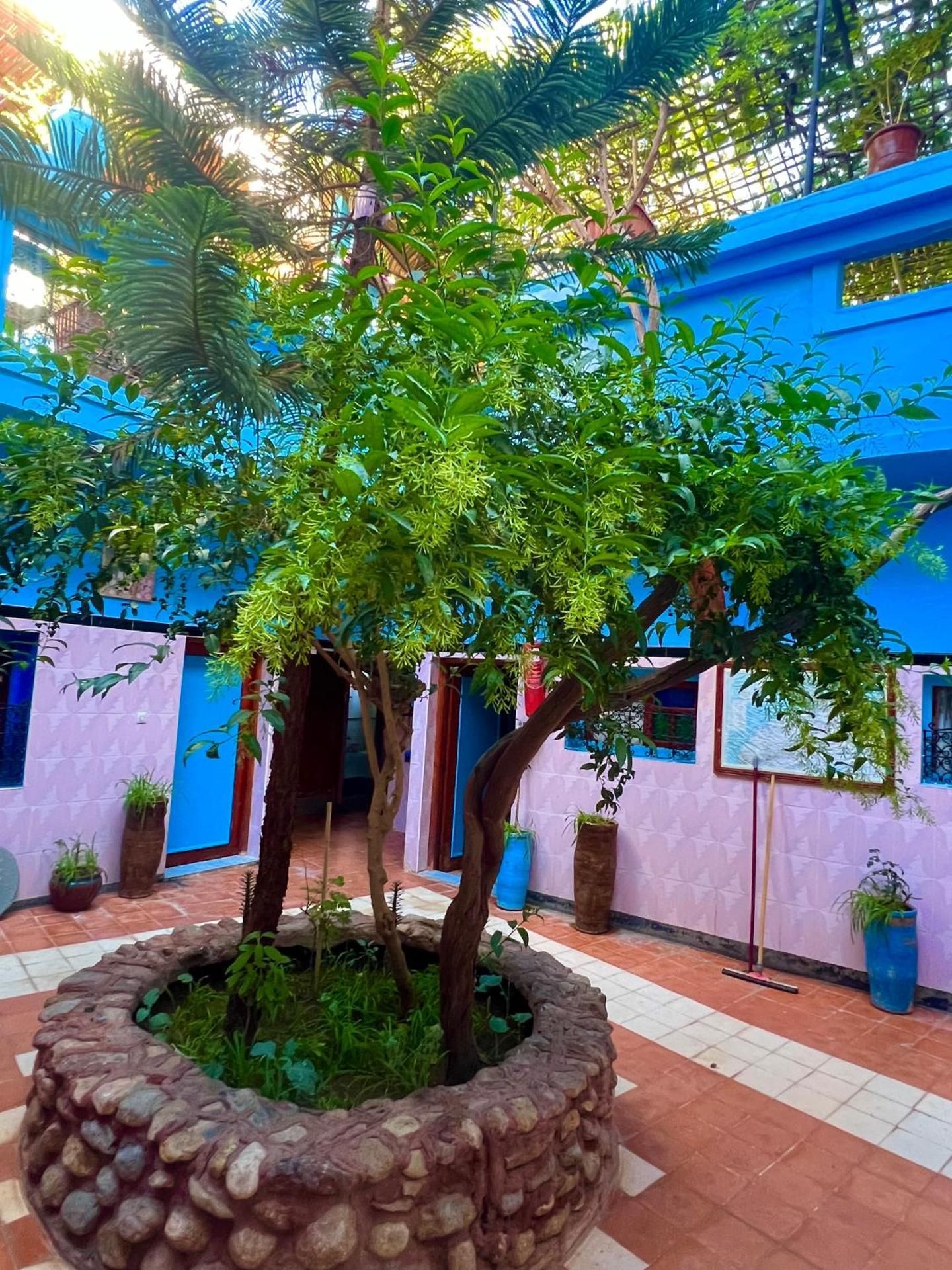 Maison d'hote Riad Todra