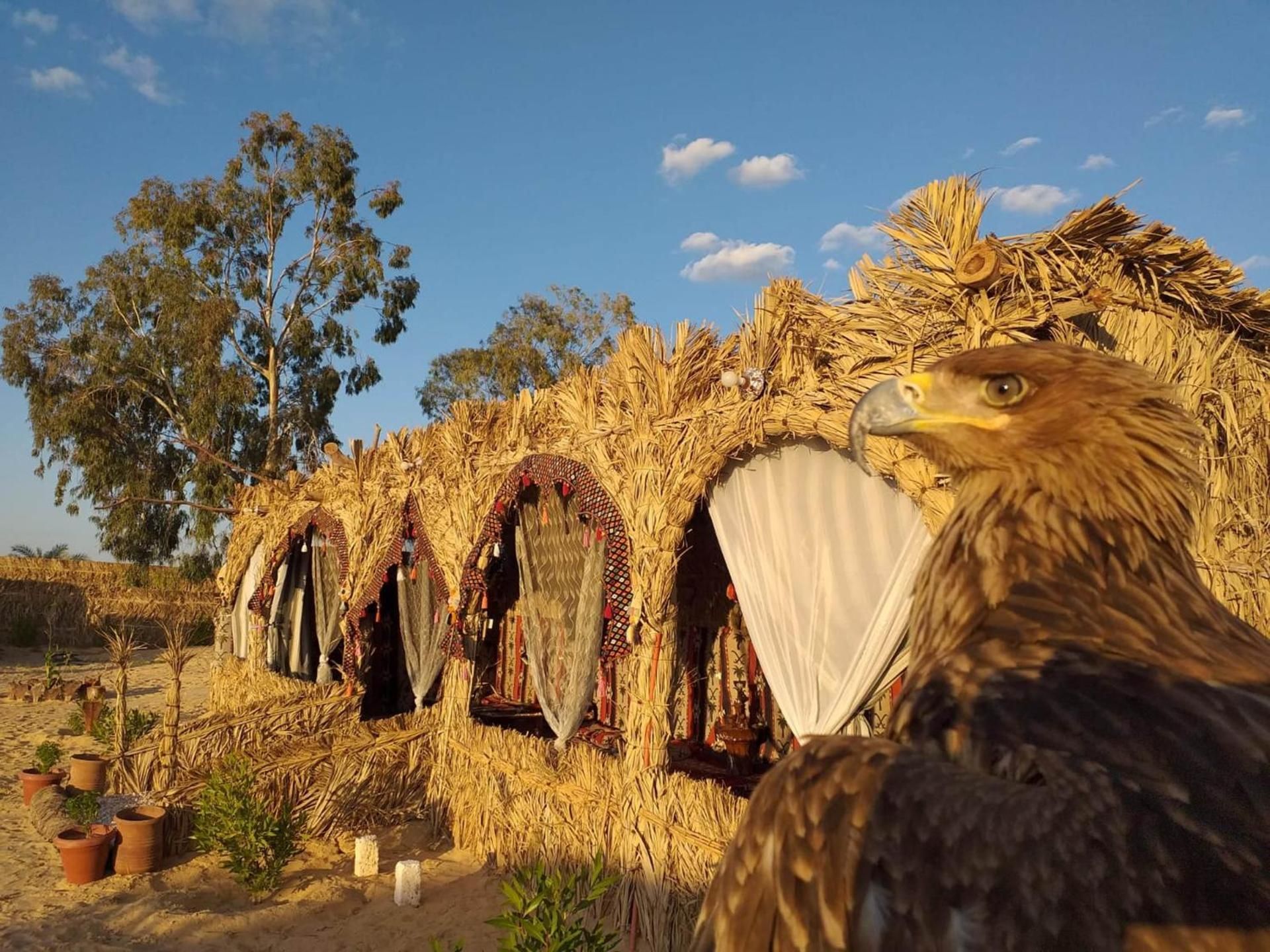 surrounding environment