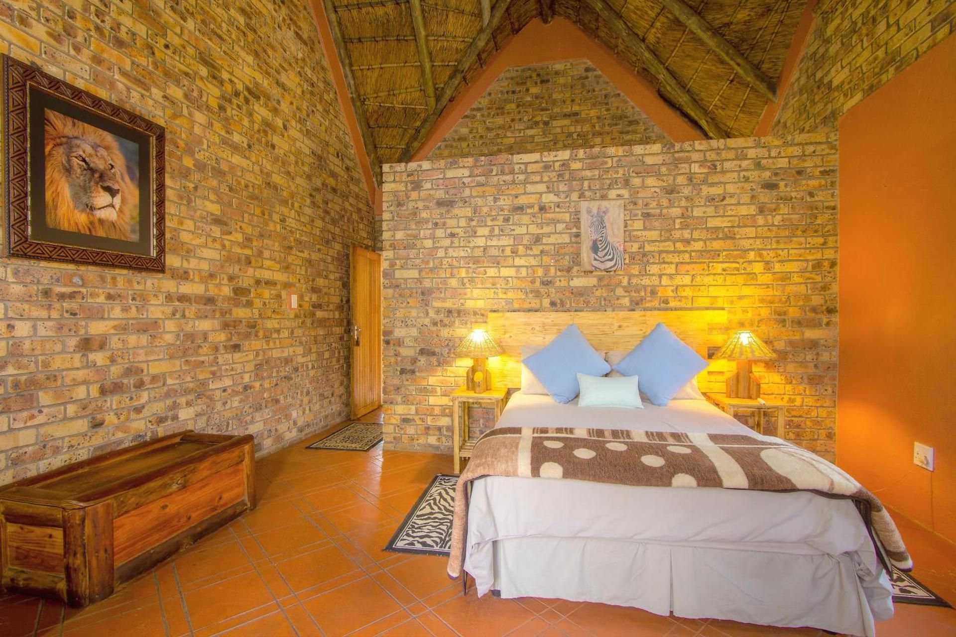 Lion Room