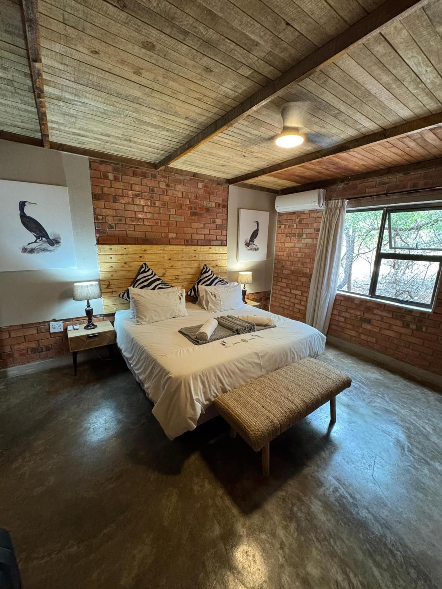 King Studio with Sofa Bed