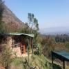 Bushwhacked Barberton