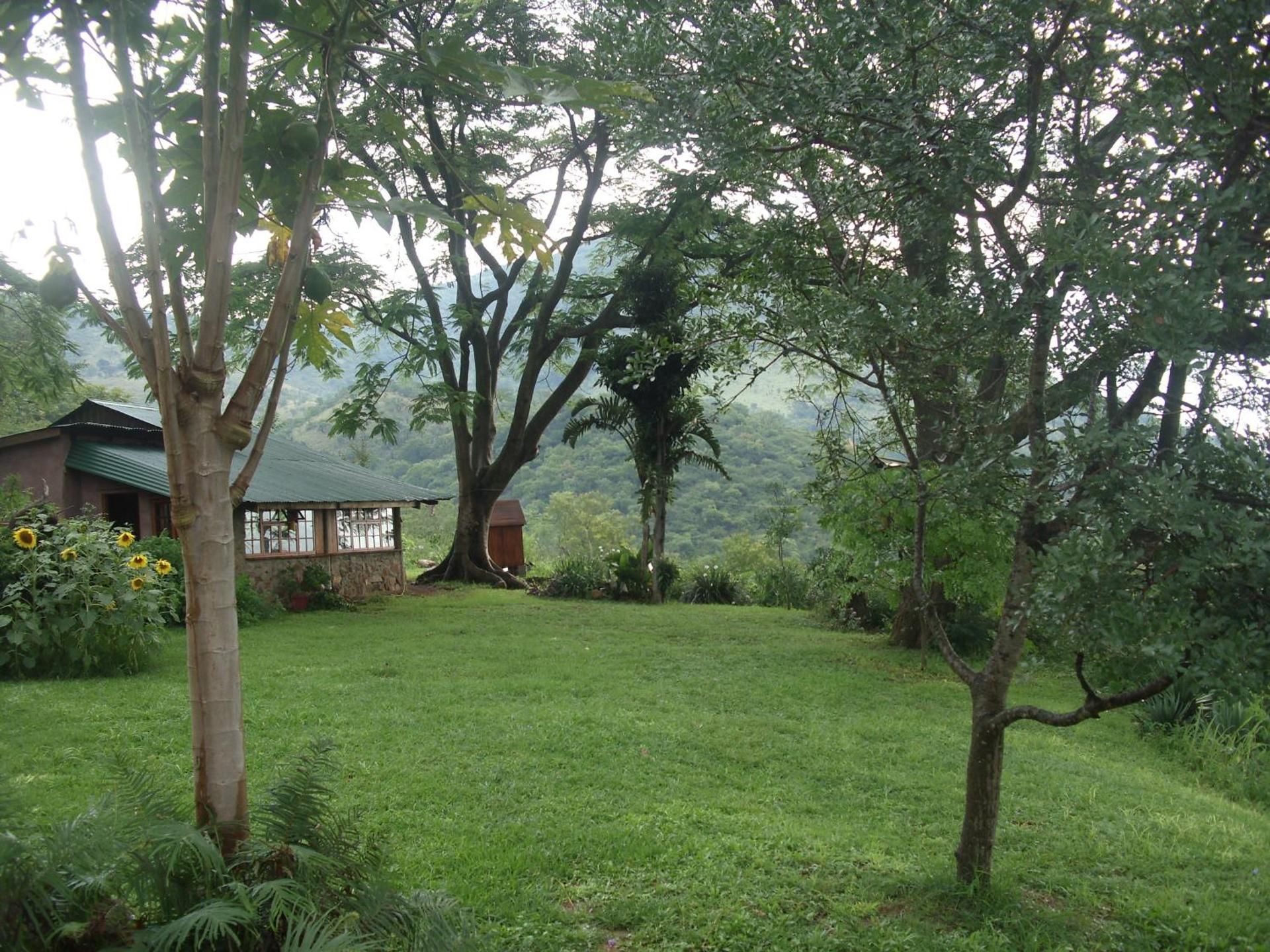 Family Chalet