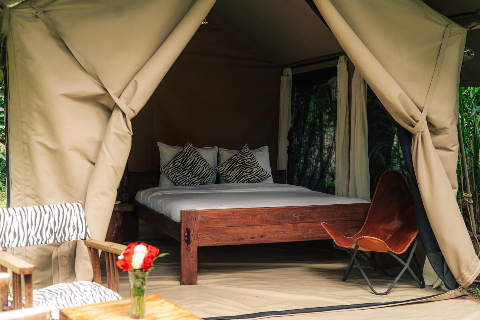 Tent