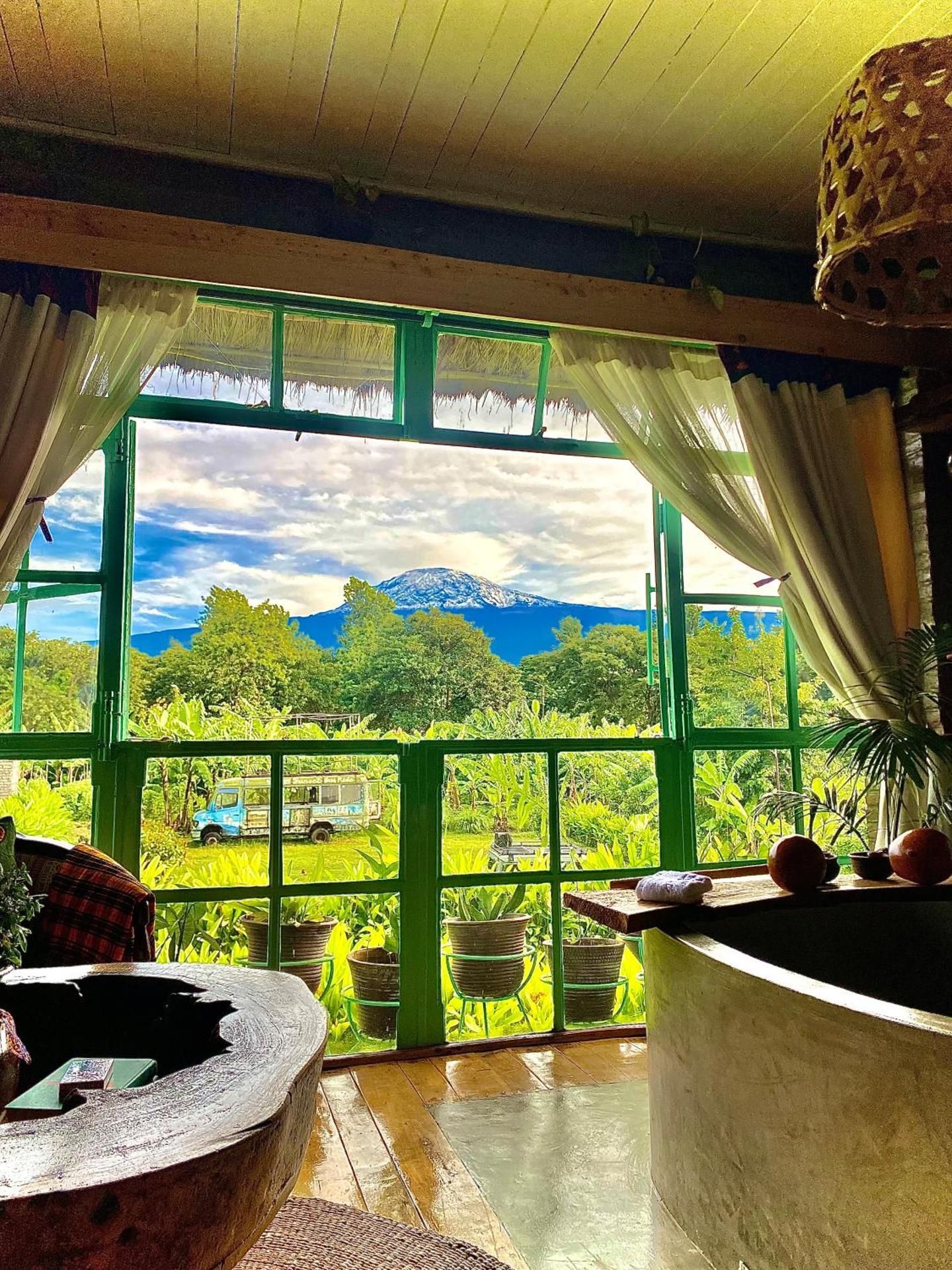Superior Double or Twin Room with Mountain View