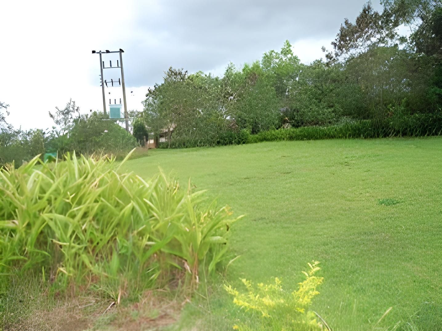 surrounding environment