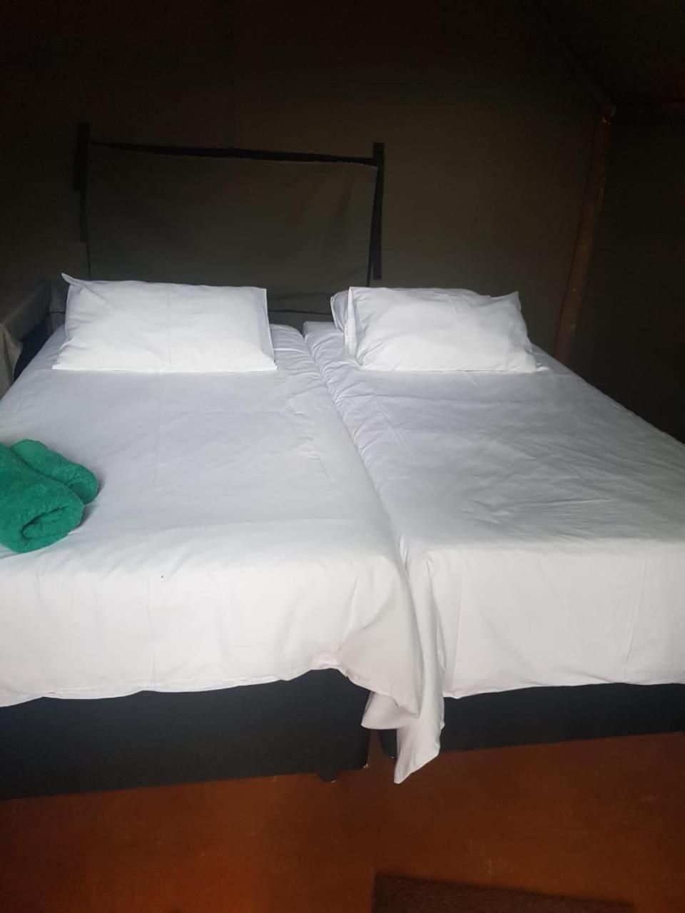 Standard Tent