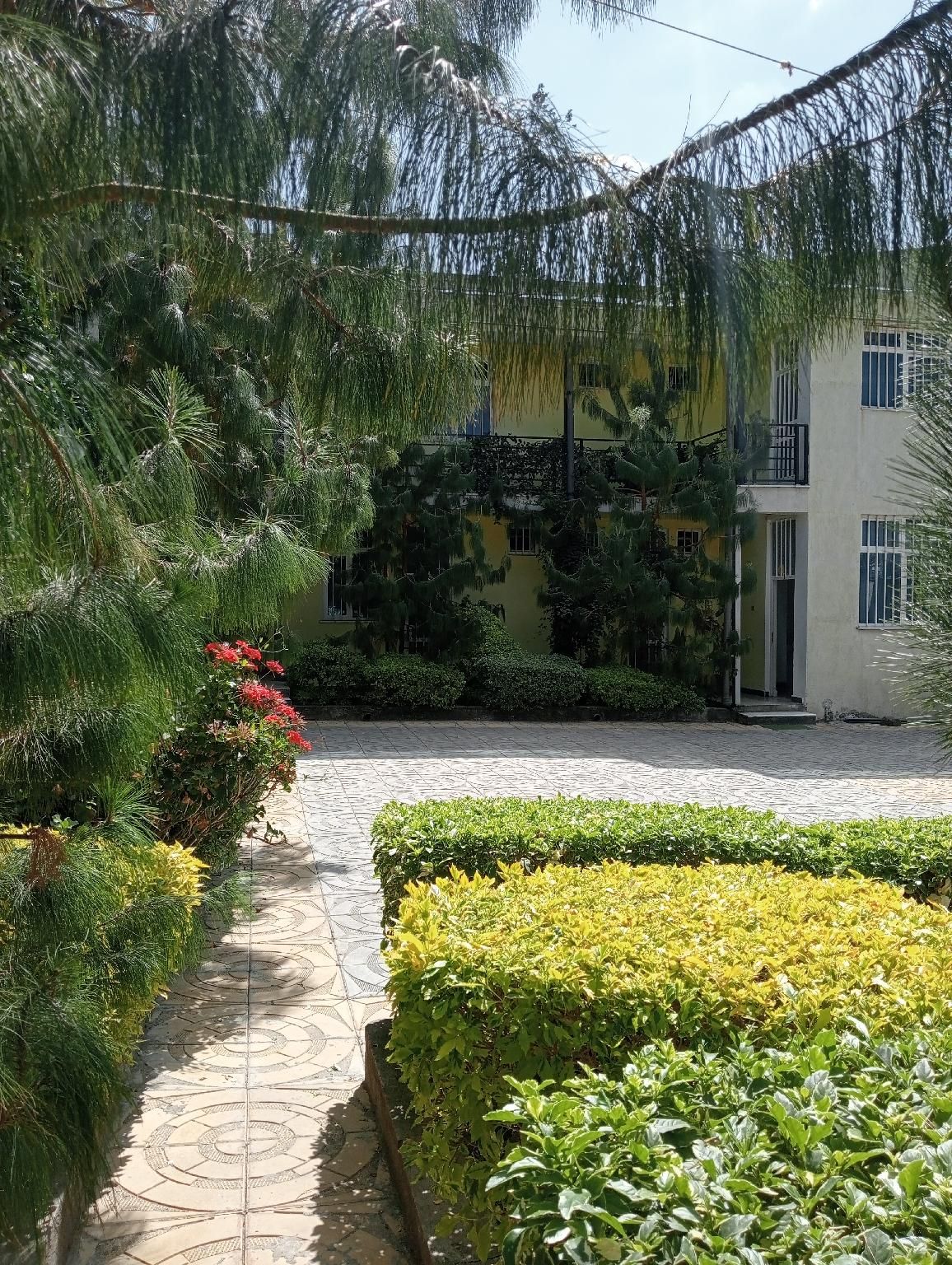 5175ede6261c1e704a57459a3ad58691