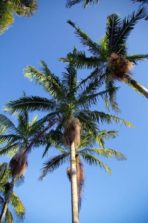 surrounding environment