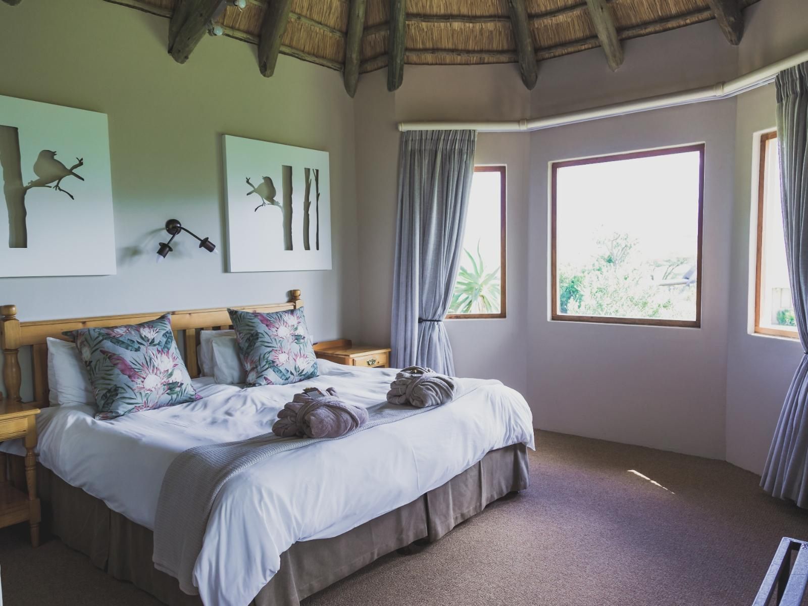 Family Suite 2