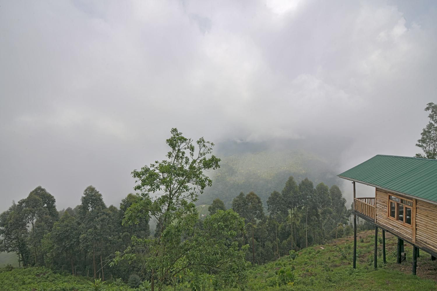  Deluxe Twin Room Type A