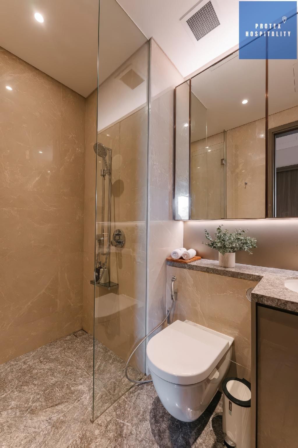 Deluxe One Bedroom Apartment
