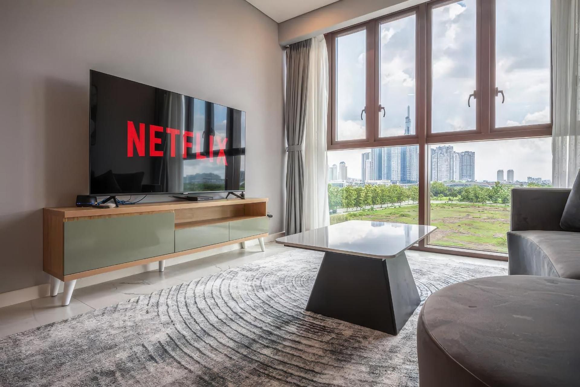 Deluxe One-Bedroom Apartment