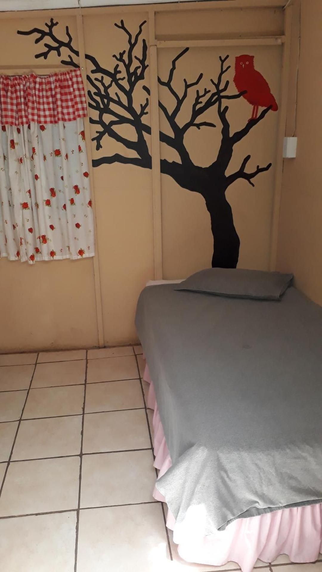Budget Single Room
