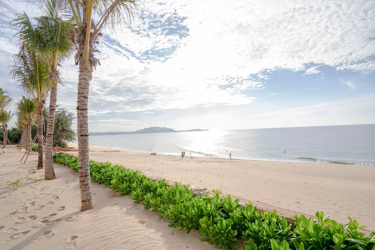 surrounding environment