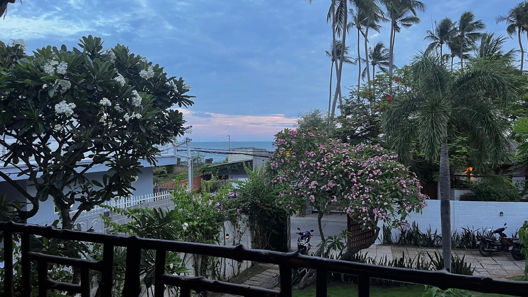 Deluxe Ocean View