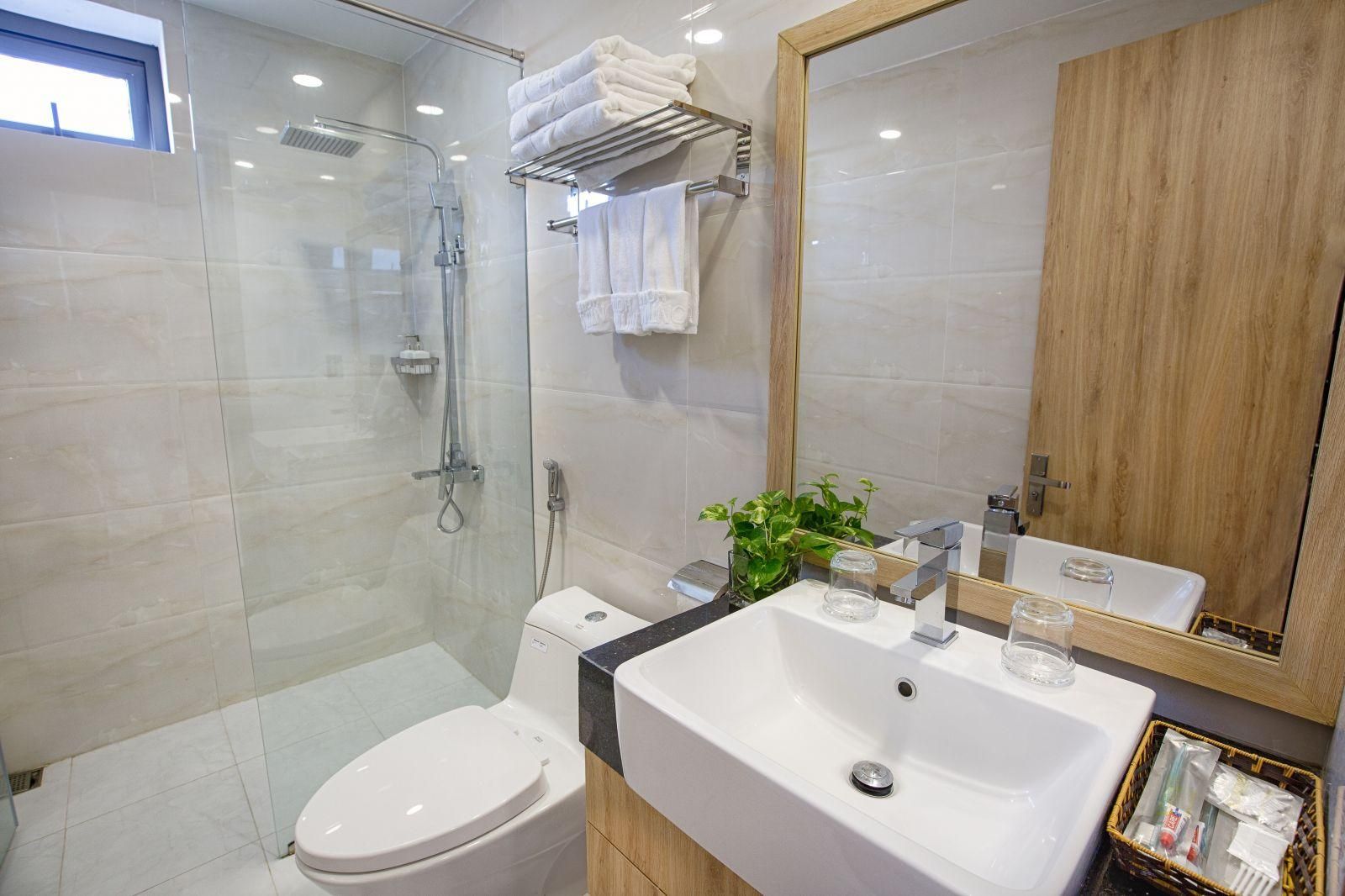 Deluxe Double or Twin Room with City View