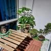 Azure Staycation by Solace Peak 2BR w/free parking