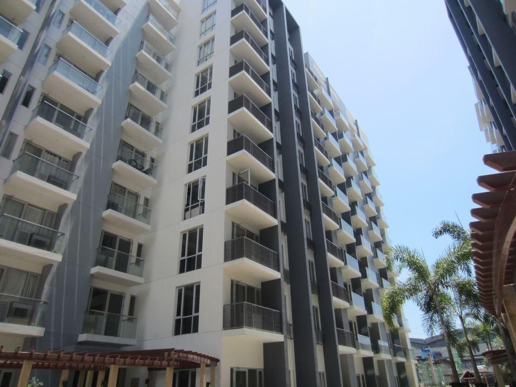 Palm Tree - Genlex Condominium
