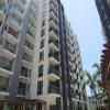 Palm Tree - Genlex Condominium
