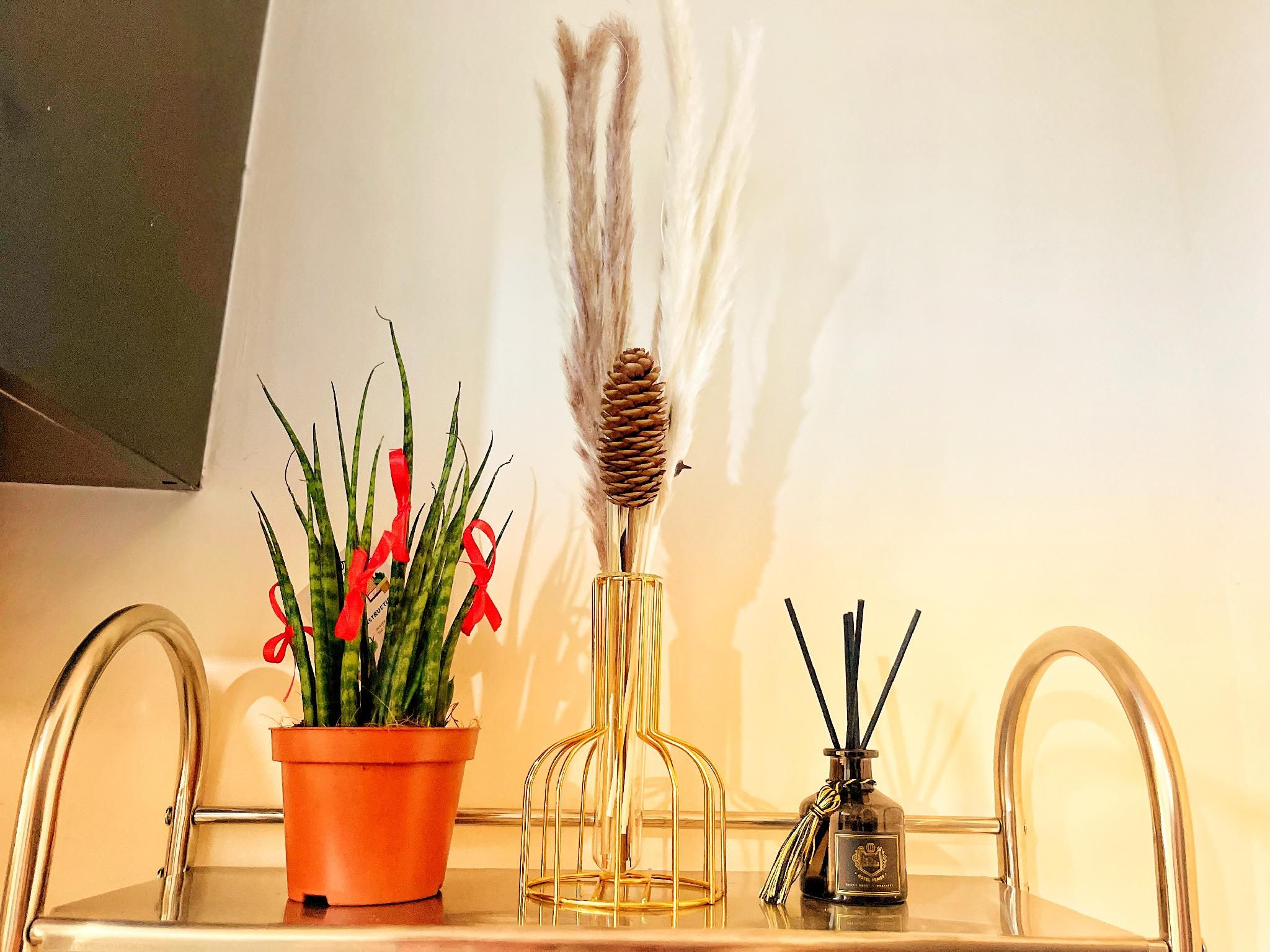 6e988bf5e80a5ac383809f2d4cee519e