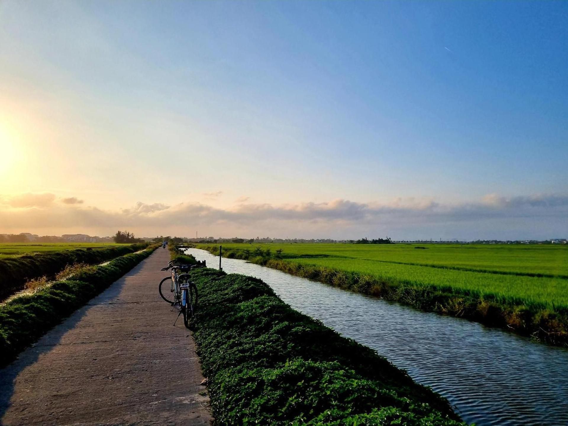 surrounding environment