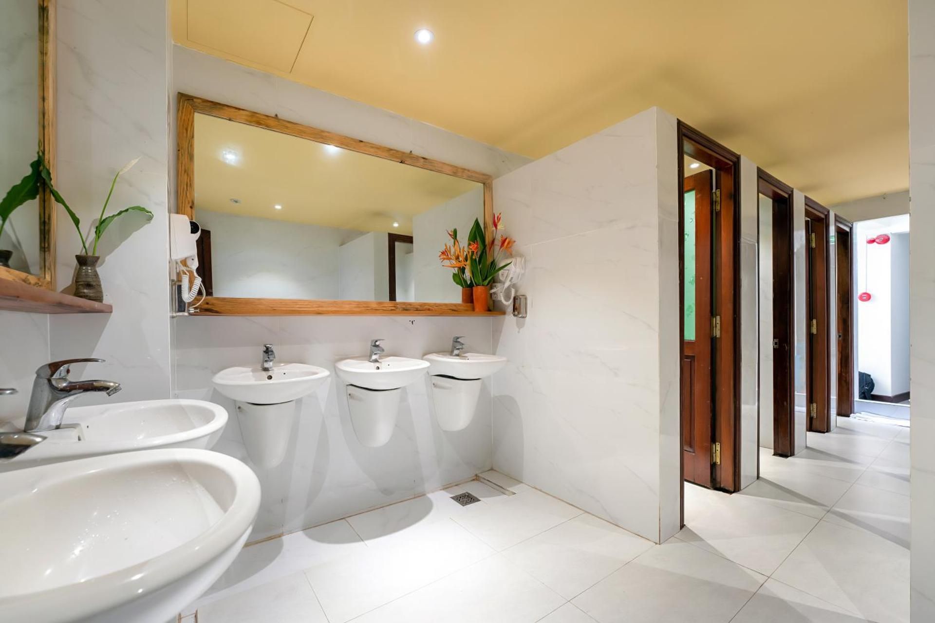 Bed in 10 Bed Mixed Dormitory