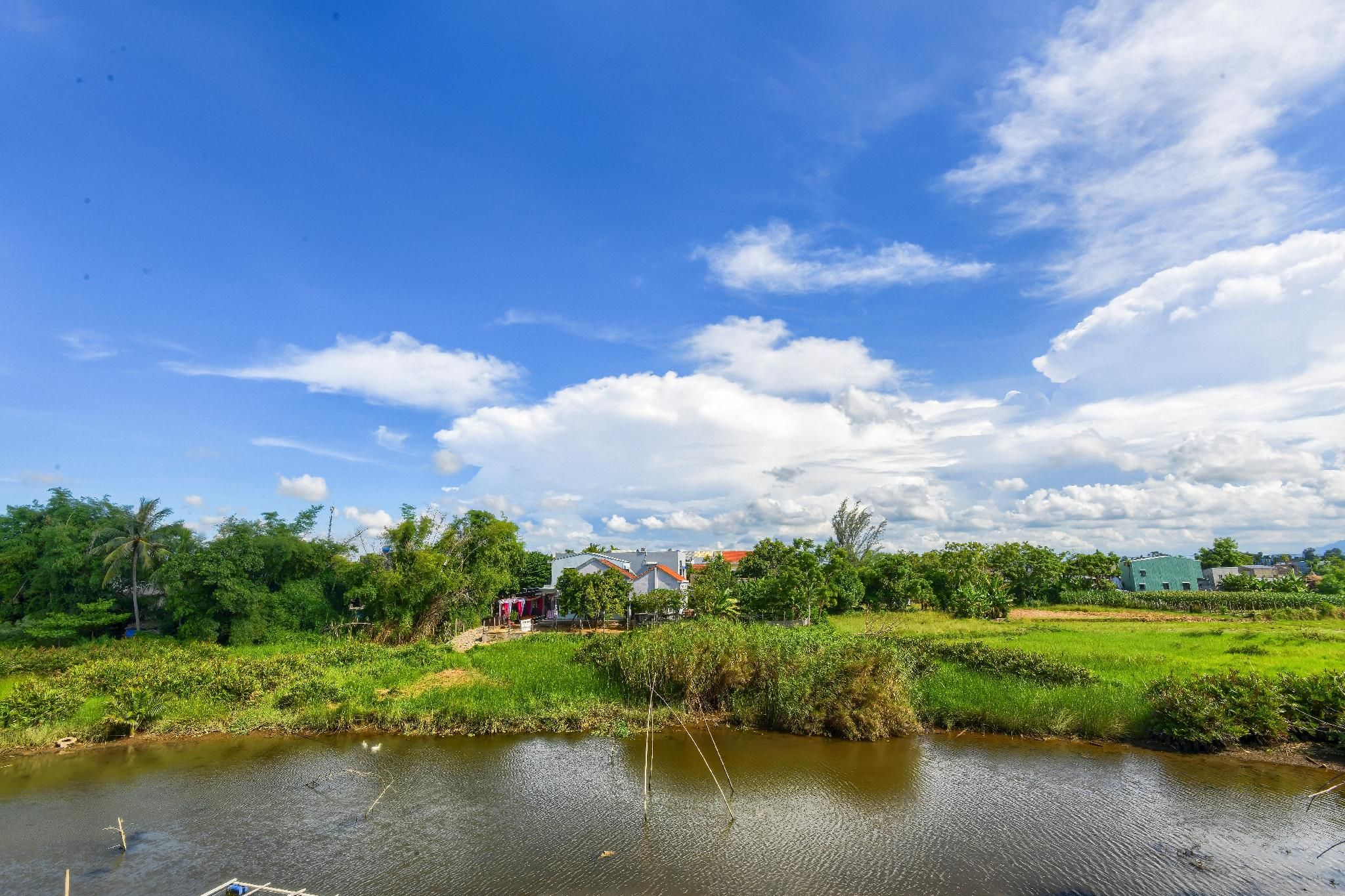 surrounding environment