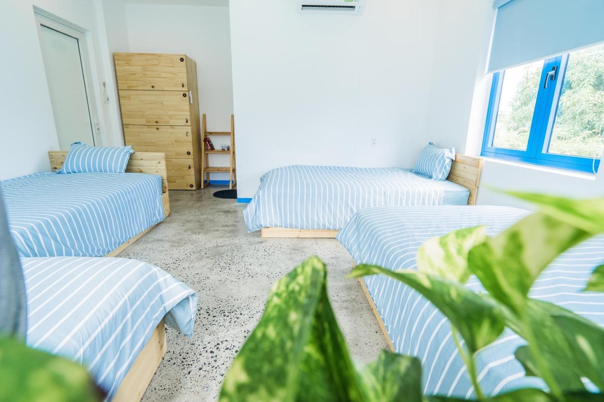 4-Bed Mixed Dormitory Room