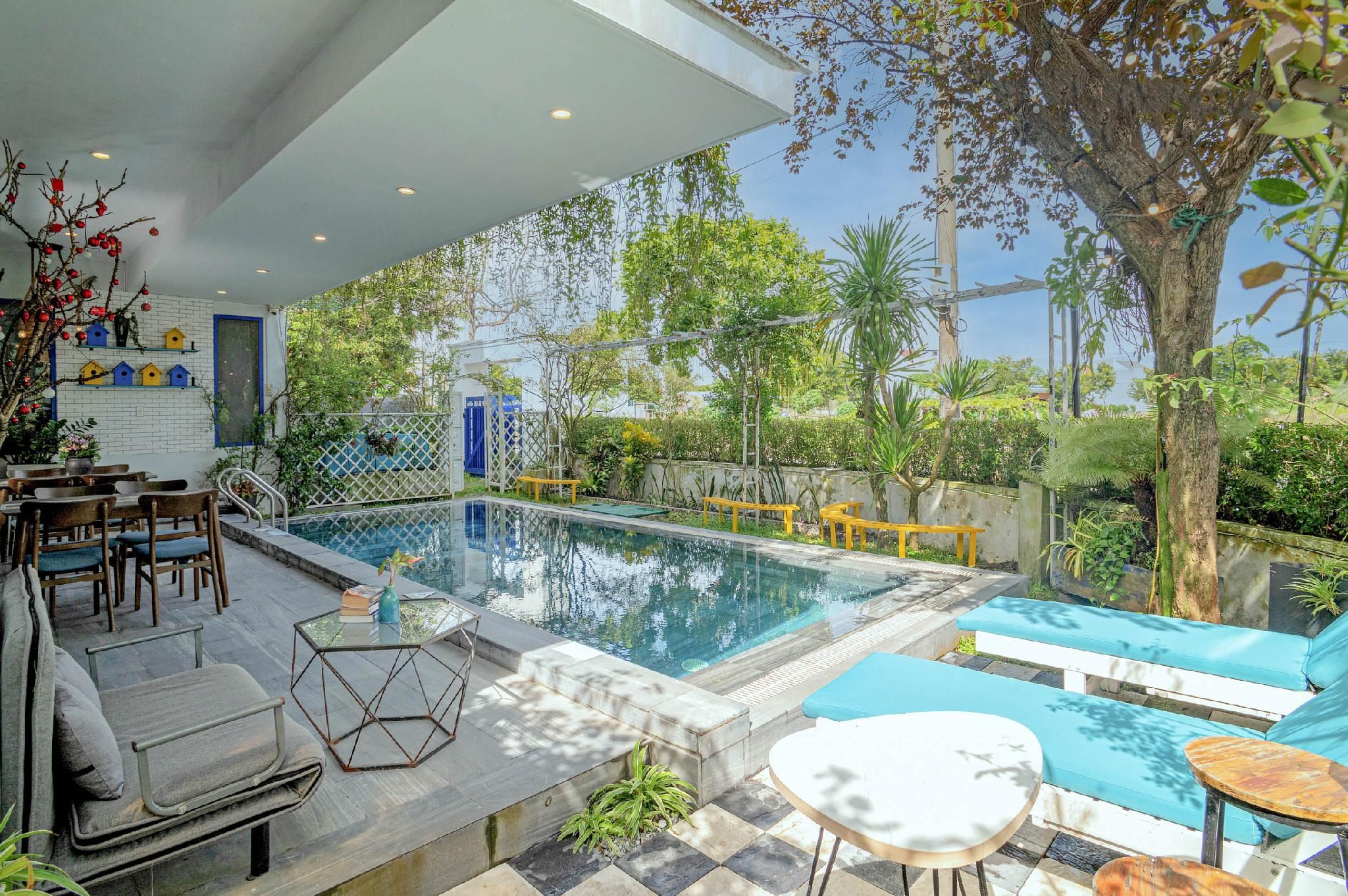 swimming pool [outdoor]