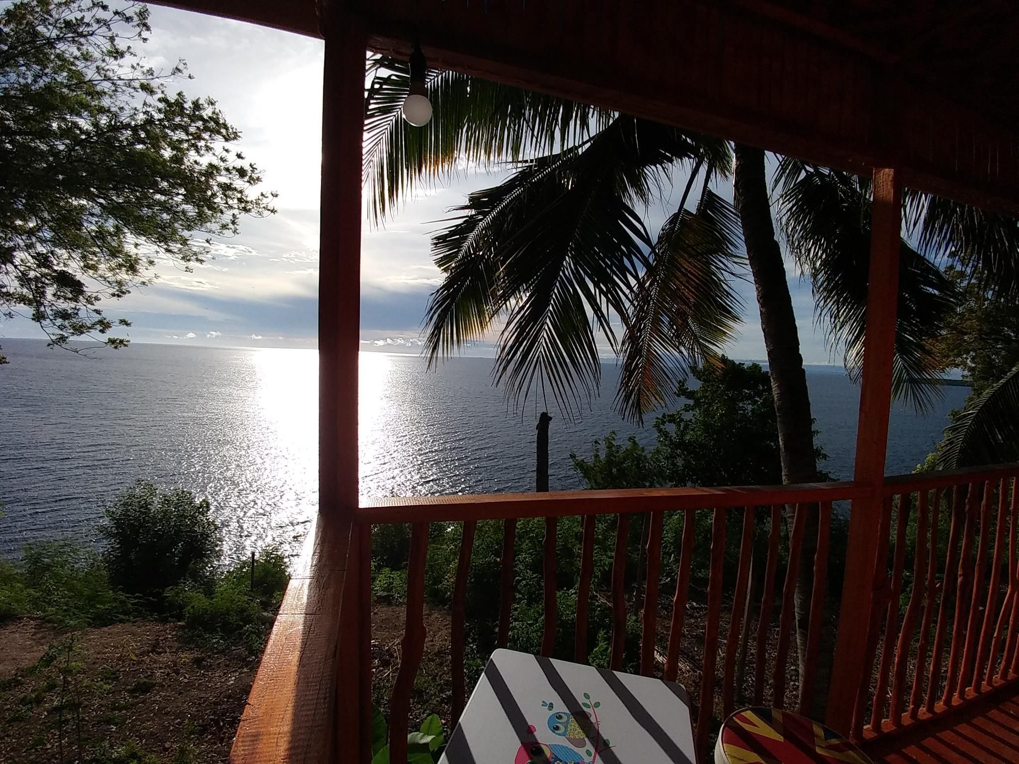 Tree House Cottage